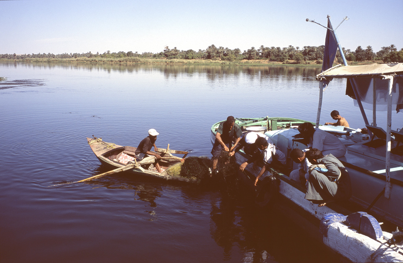 egyp06_13 nil la peche.jpg - Sur le Nil négociation pour nous ravitailler en poisson frais (d'ailleurs délicieux, en particulier le poisson chat) Provia 100 F
